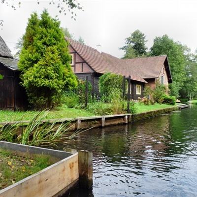 网络手机赌钱软件下载截图